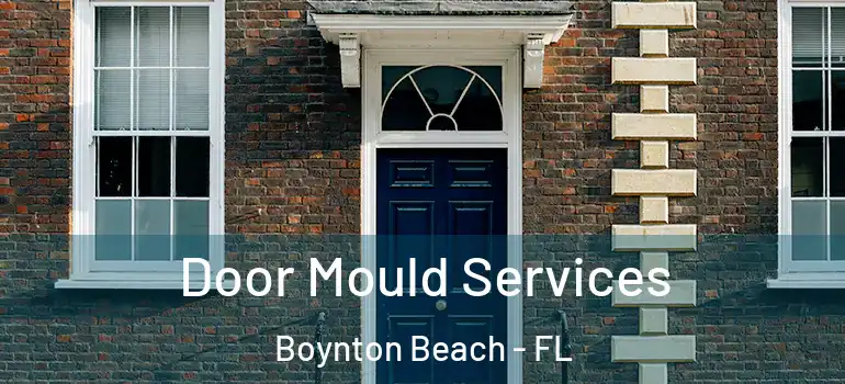  Door Mould Services Boynton Beach - FL