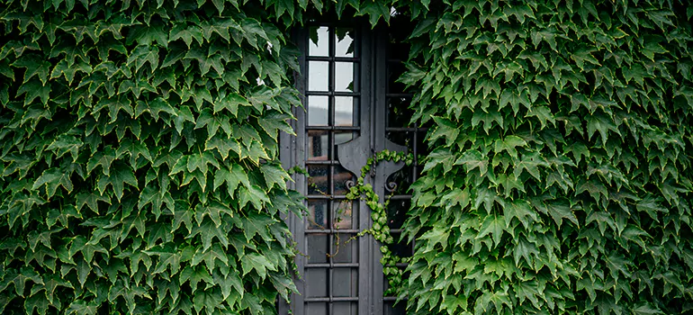 Garden Gate Repair in Boynton Beach, FL