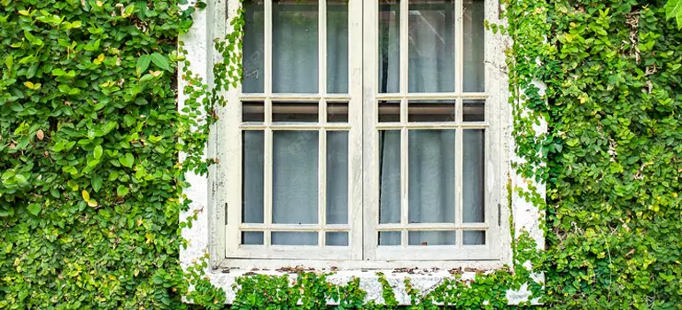 Garden Window Repair Near Me in Boynton Beach, FL