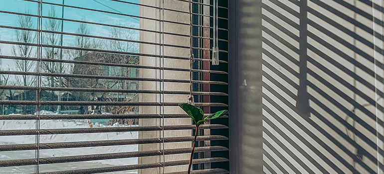 Commercial Window Blinds in Boynton Beach, FL