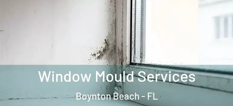  Window Mould Services Boynton Beach - FL